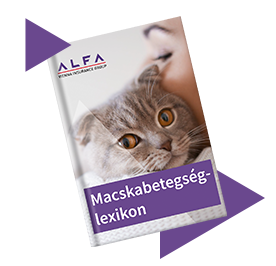 Macskabetegség-lexikon borító