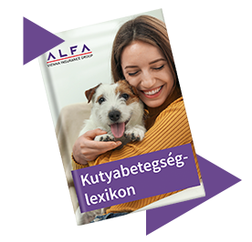 Kutyabetegség-lexikon borító