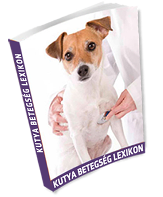 Ingyenes kutyabetegség lexikon