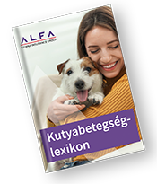 Kutyabetegség lexikon