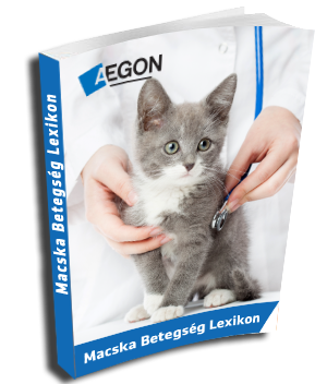 Ingyenes kutyabetegség lexikon