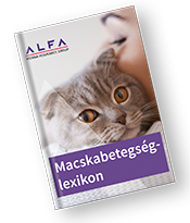 Ingyenes kutyabetegség lexikon